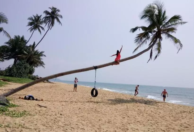 Majatalo Green Villa Beach And Juice Bar