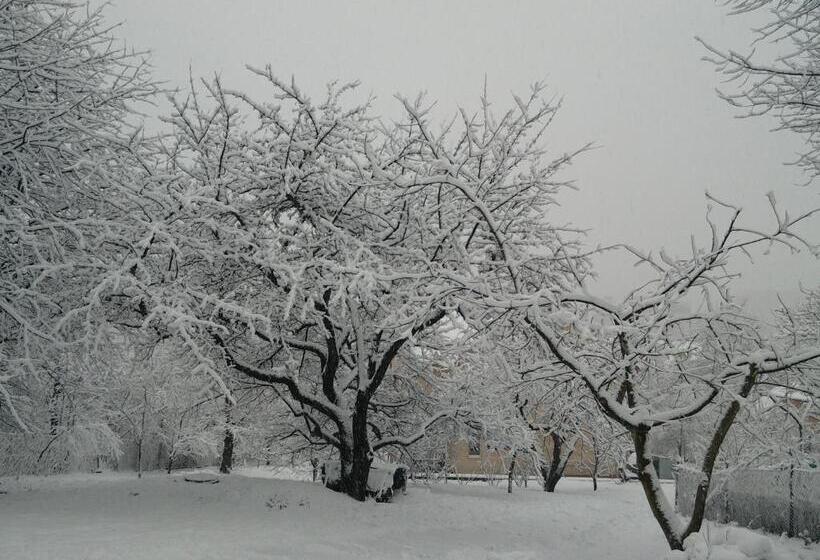 پانسیون Guest House At Lesya Ukrainka