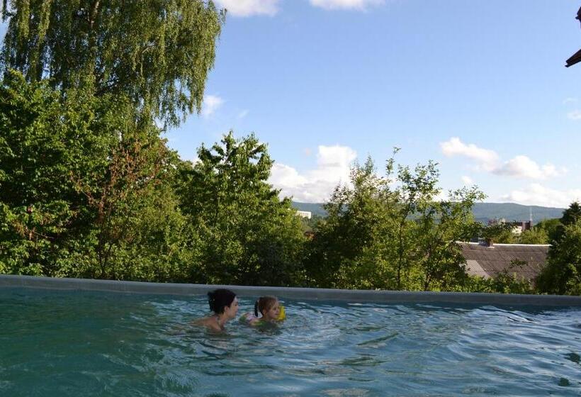 پانسیون Guest House At Lesya Ukrainka