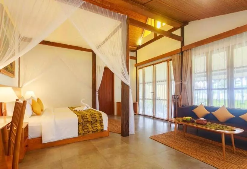 پانسیون Villa So Long Banyuwangi   Ijen