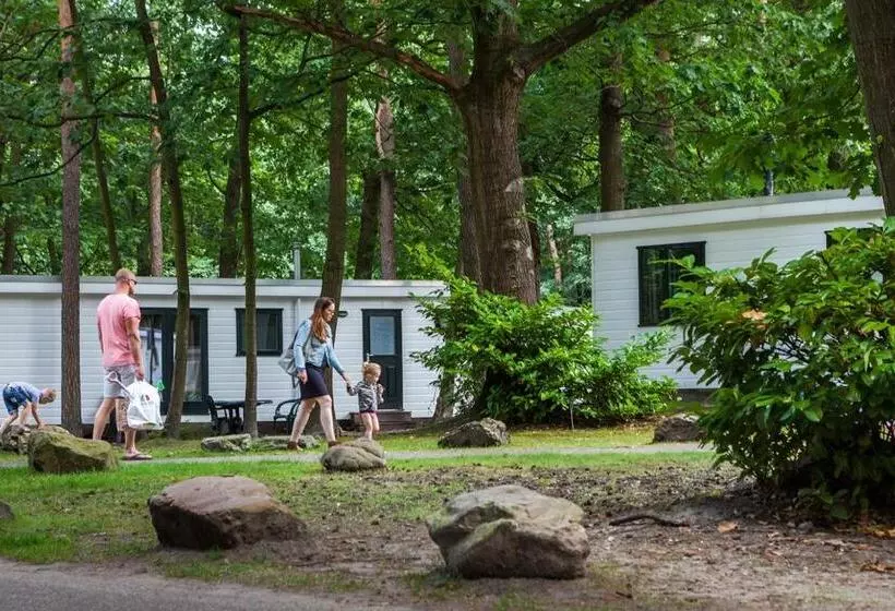 استراحتگاه Hh Hertenkamp Mobile Home