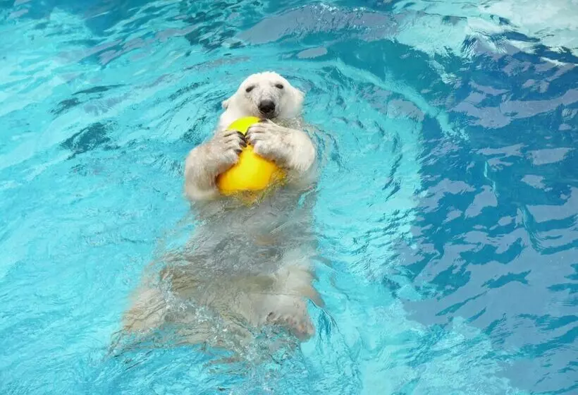 호텔 Matsuyama Tokyu Rei