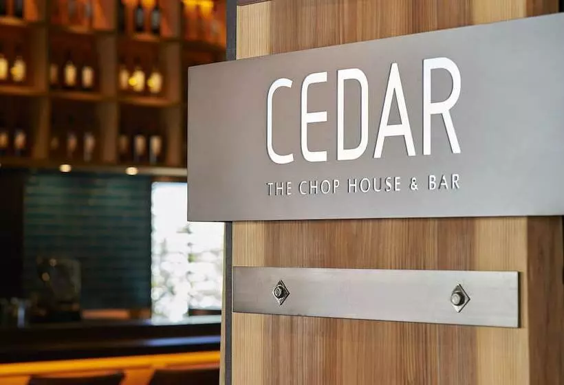 酒店 Remm Roppongi