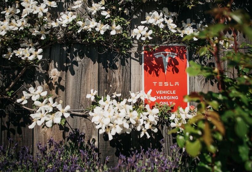 ホテル Mt Cook Lakeside Retreat