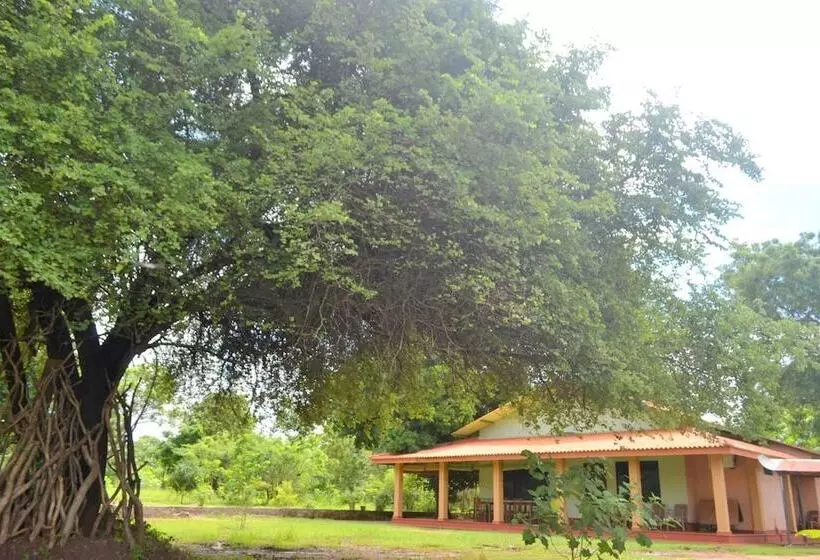 Hotelli Wilpattu Dilsara Holiday Resort