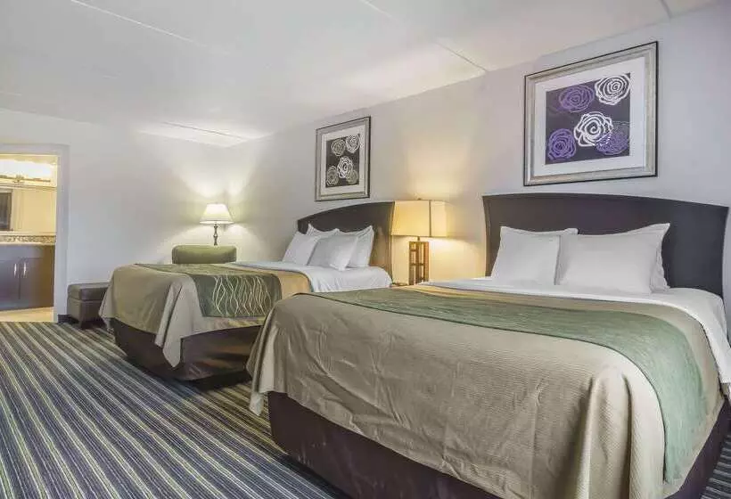 בית מלון כפרי Comfort Inn & Suites