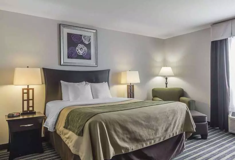 酒店 Comfort Inn & Suites