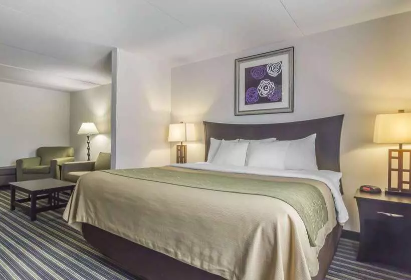 בית מלון כפרי Comfort Inn & Suites