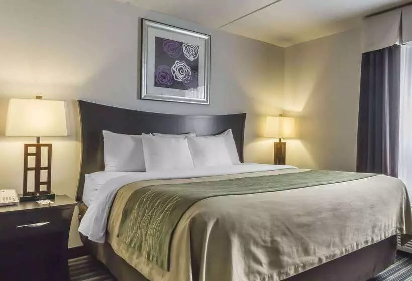 酒店 Comfort Inn & Suites