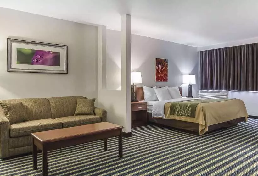 בית מלון כפרי Comfort Inn & Suites