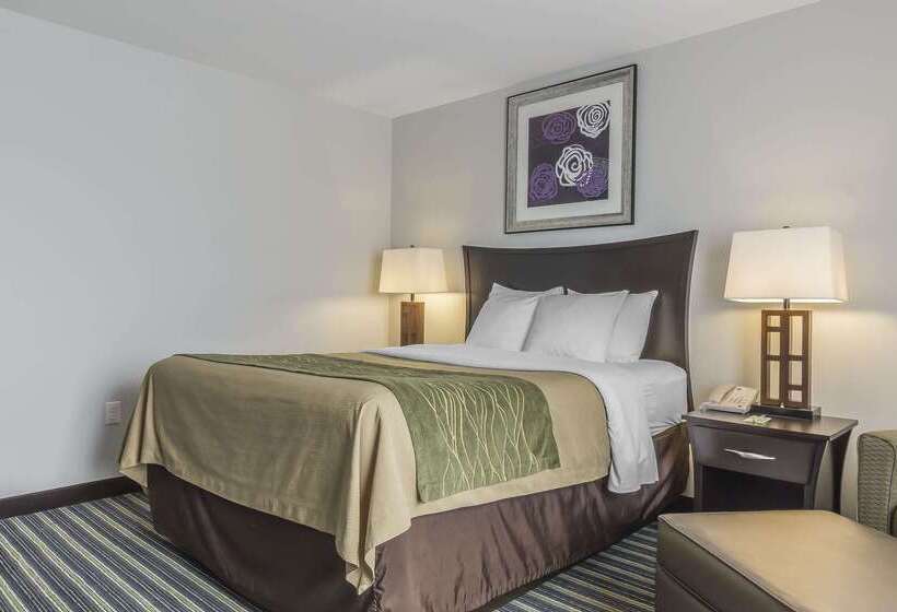 هتل Comfort Inn & Suites