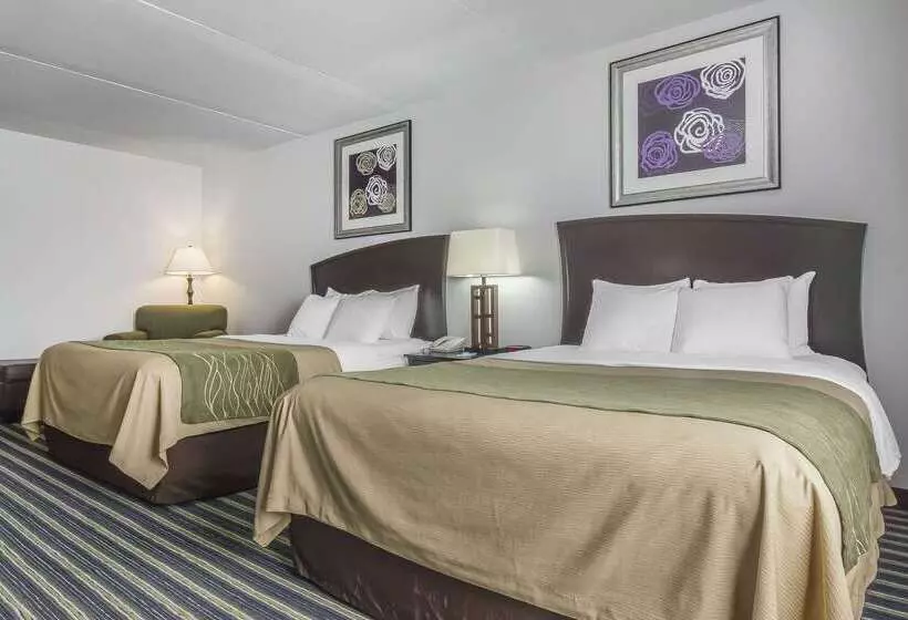 בית מלון כפרי Comfort Inn & Suites