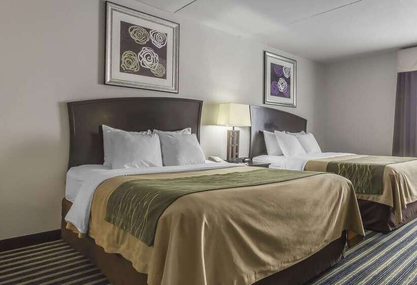 هتل Comfort Inn & Suites