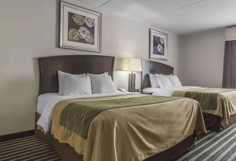 酒店 Comfort Inn & Suites