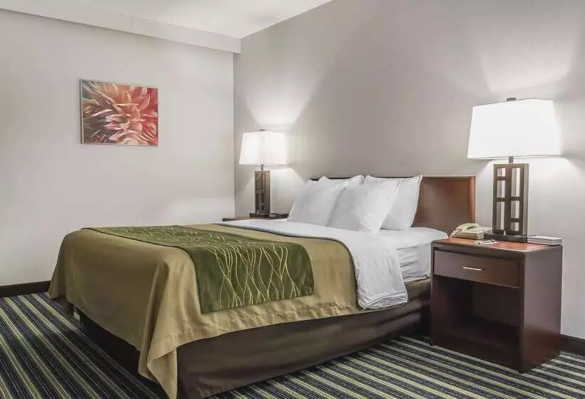 בית מלון כפרי Comfort Inn & Suites