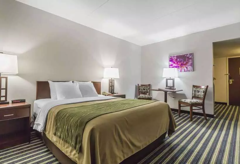 בית מלון כפרי Comfort Inn & Suites