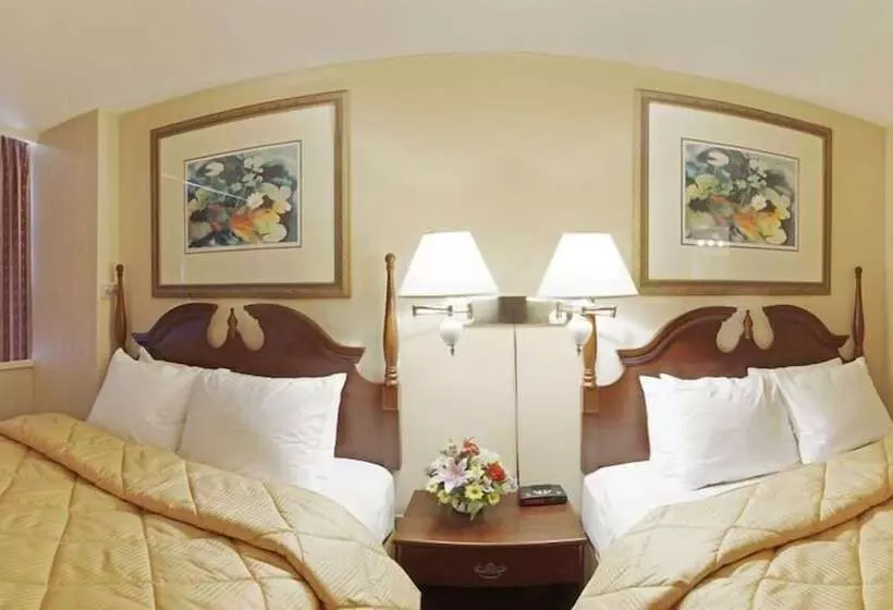 Отель Econo Lodge