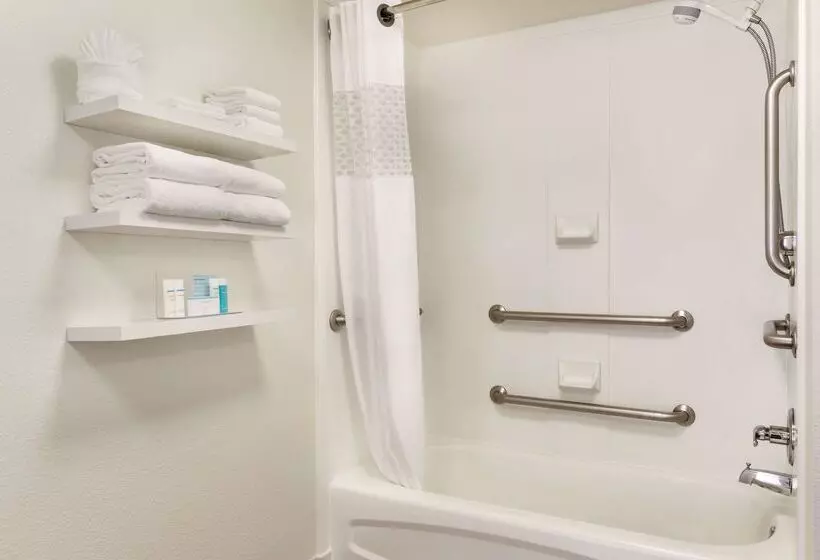 호텔 Hampton Inn & Suites Tarpon Springs