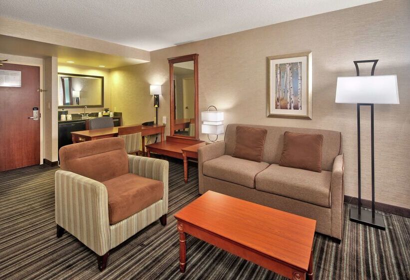 Отель Hampton Inn & Suites By Hilton Toronto Airport