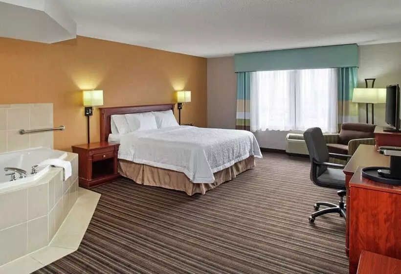 هتل Hampton Inn & Suites By Hilton Toronto Airport