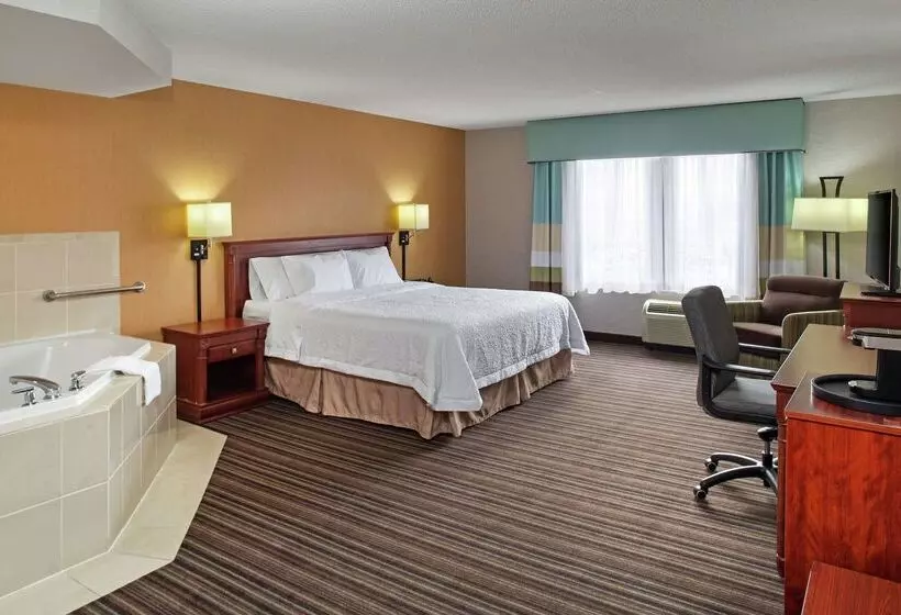 هتل Hampton Inn & Suites By Hilton Toronto Airport
