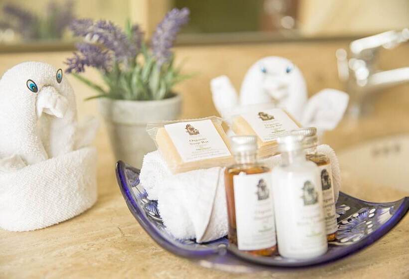 Szálloda Los Itzaes By 5th Av