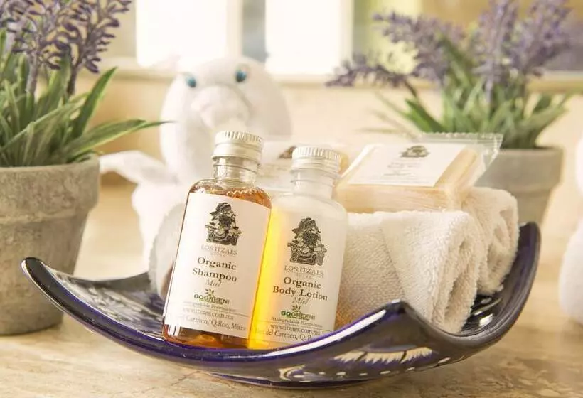 فندق Los Itzaes By 5th Av