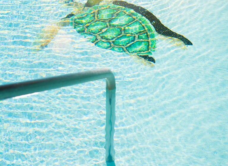 Hotel Sea Of Cortez Beach Club