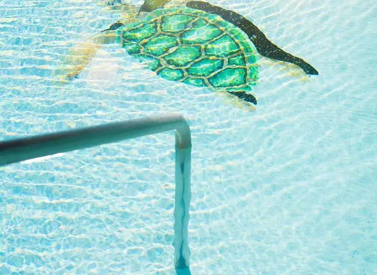 Hotel Sea Of Cortez Beach Club