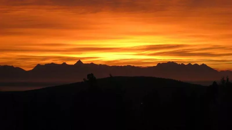 Отель Trickle Creek Lodge