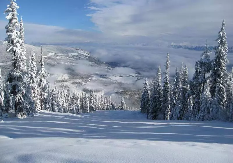 Отель Trickle Creek Lodge