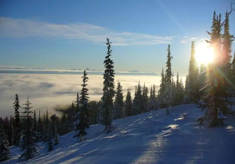 Отель Trickle Creek Lodge