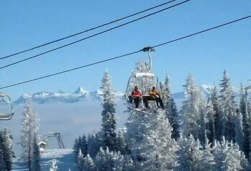 Отель Trickle Creek Lodge