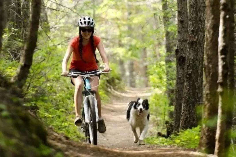 Отель Trickle Creek Lodge