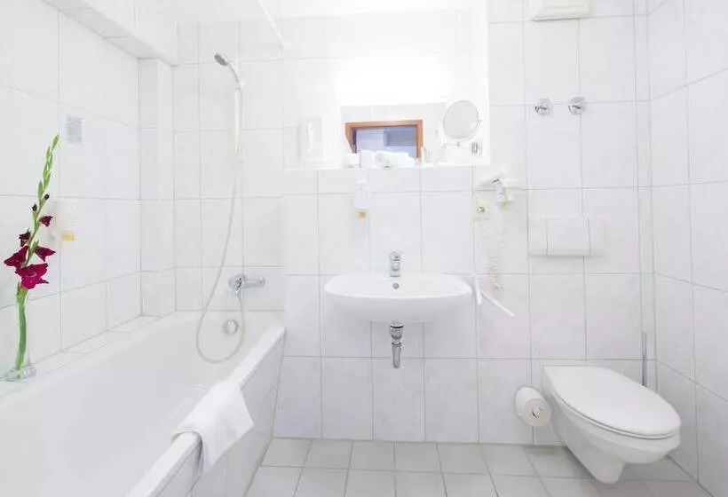 Maximilian Hotel & Apartments Weil Am Rhein / Basel