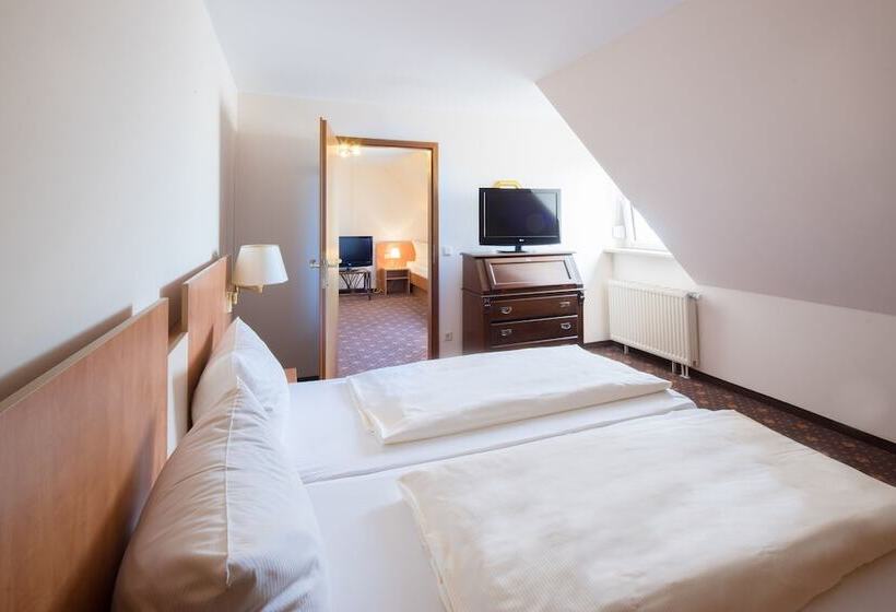 Maximilian Hotel & Apartments Weil Am Rhein / Basel