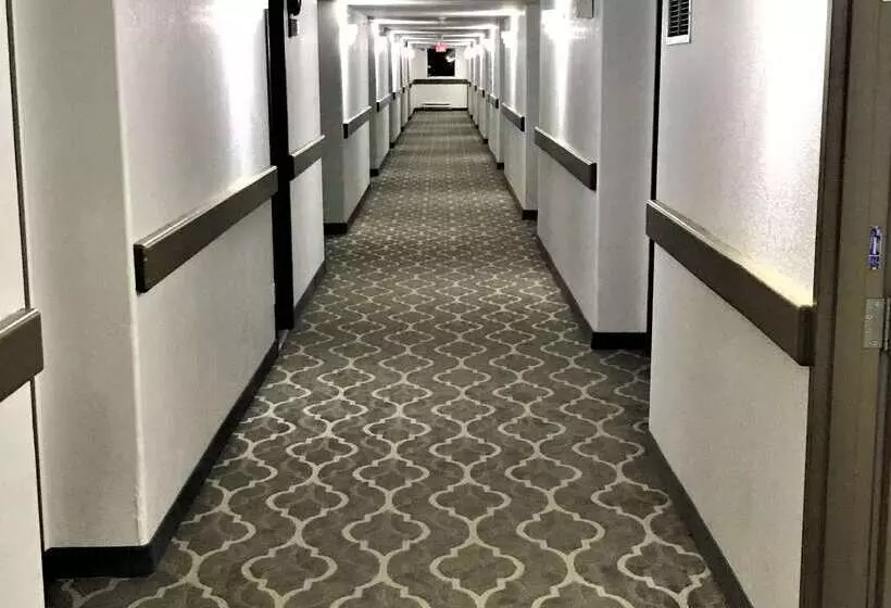 모텔 Super 8 By Wyndham Hinton