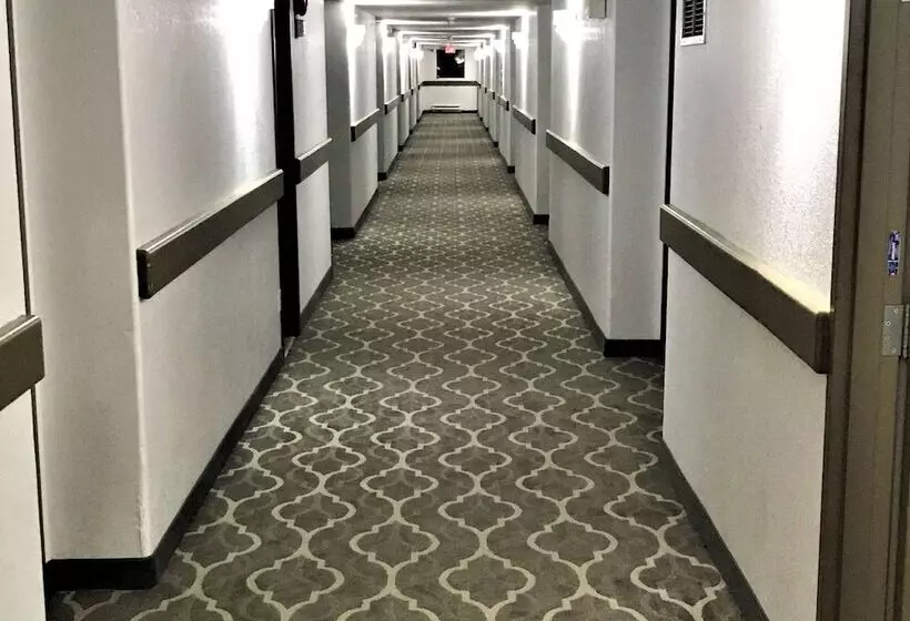 모텔 Super 8 By Wyndham Hinton