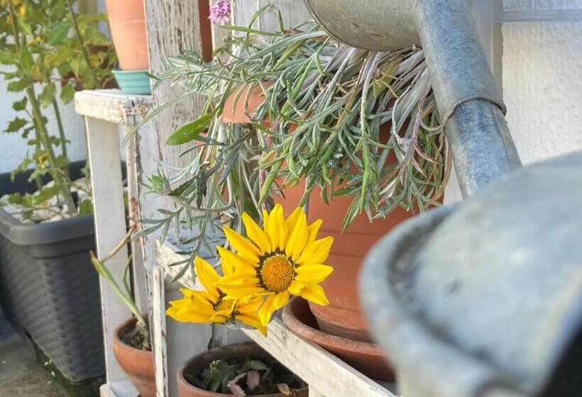 Nocleg ze śniadaniem Canduleri