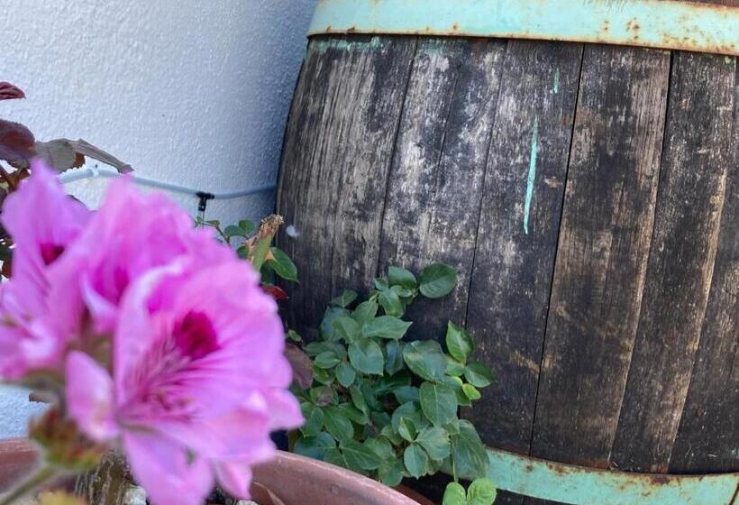 Nocleg ze śniadaniem Canduleri