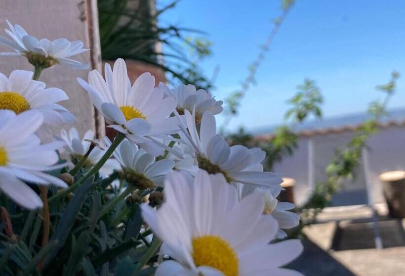 Nocleg ze śniadaniem Canduleri