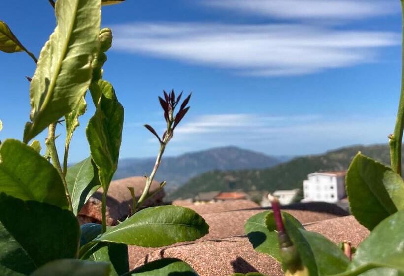 Nocleg ze śniadaniem Canduleri