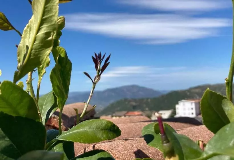 ベッドアンドブレックファースト Canduleri