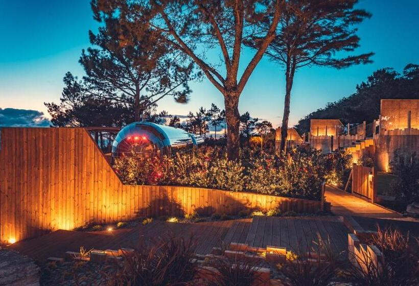 تختخواب و صبحانه Charm Nature