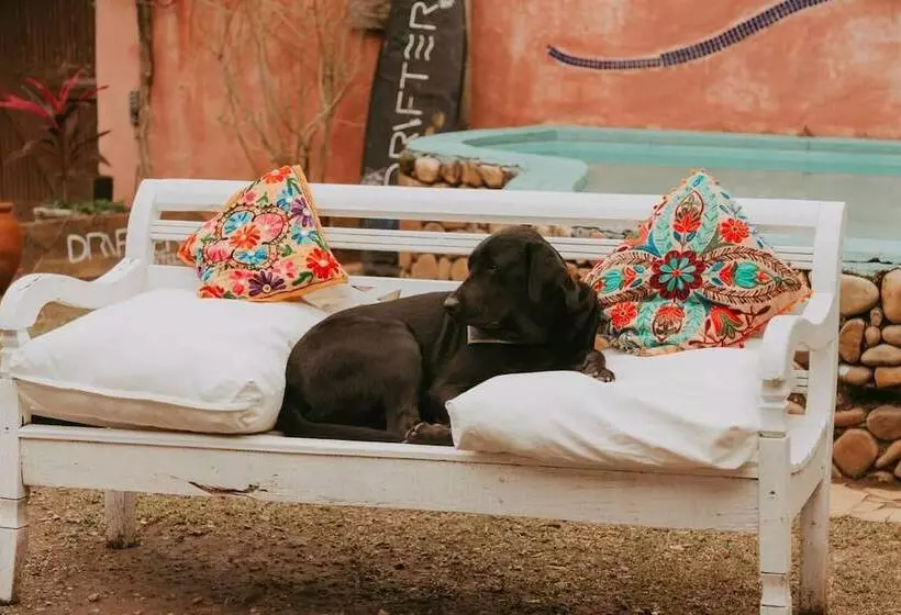 Drifter Hostel
