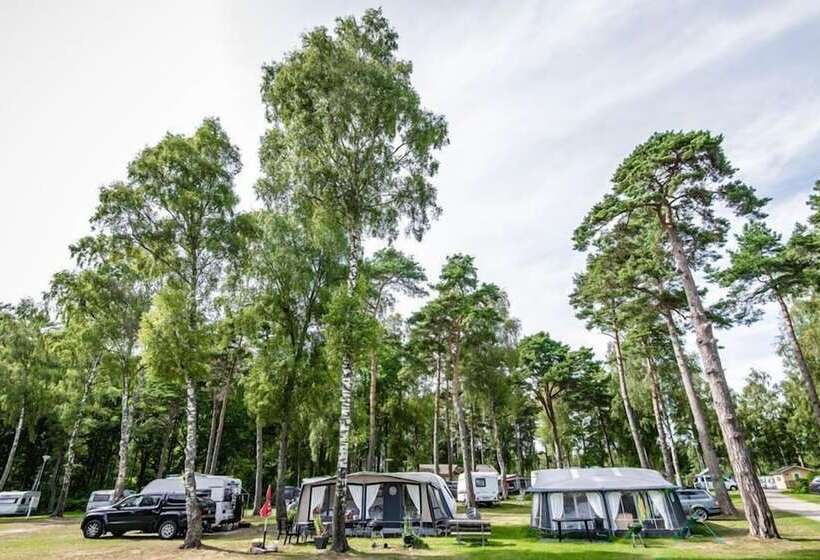 هتل Alholmens Bad O Camping