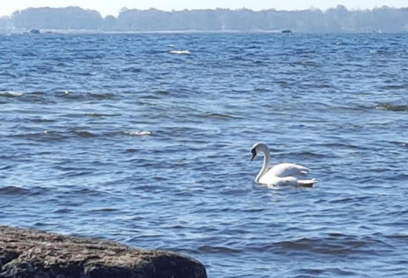 هتل Alholmens Bad O Camping