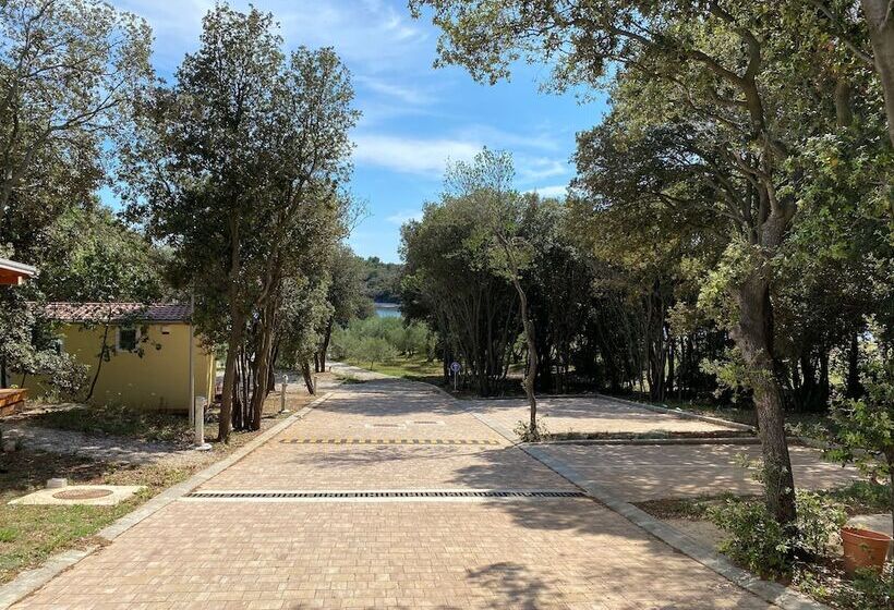 酒店 Campsite Piccolo