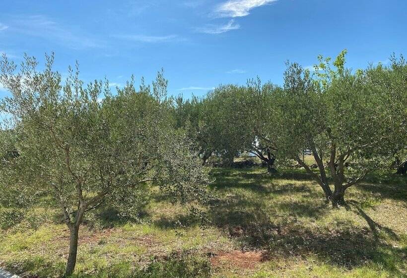 酒店 Campsite Piccolo