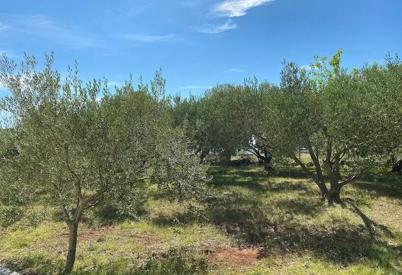 ホテル Campsite Piccolo